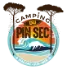 Logo pinsec orange